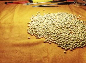 00012658-PHOTO-2021-03-02-18-31-18_0