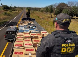 022f413d-9d9f-4d13-b8f8-866aeb18262a