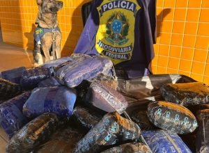 0f49e83c-d2fc-49ed-ad86-5b8ac4e52507