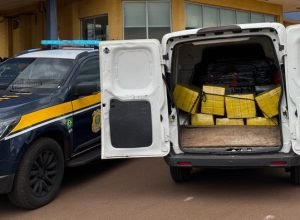 11cb5b91-f4ff-44ea-ab08-46d9d4cfc3ad