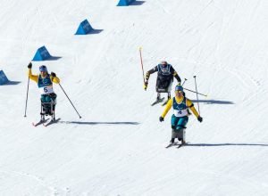 131629d7-217f-460e-8046-1234e1291414