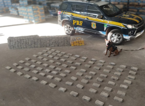 14622eec-183f-4e9a-beda-0ba3d25f7a08 (1)