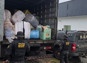 1569879c-aa93-4628-af8a-c9894f777fb7