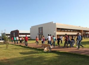 1760637604561_grande2643738923474714433