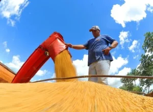 1763059071917-0k2ofer9uhsu