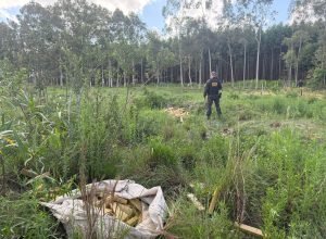 18a6b2a5-80ed-4341-be14-95aafc501172