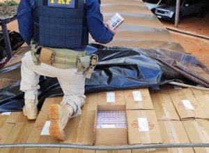 1b6e39a9-988b-43cc-8ee3-d9e94ad0934e