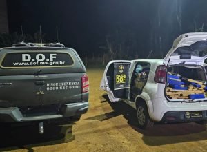 1cac3439-0d46-497f-b939-06c8475cece6