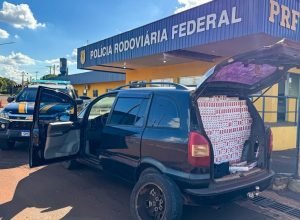 1fc16714-6b94-466d-9146-13e338f27389