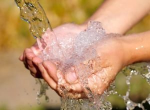 20251013_141952_original_WhatsApp_Image_2025-10-13_at_14.19.04