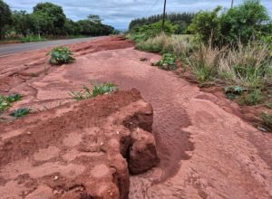 20251106_102237_original_Imagem2