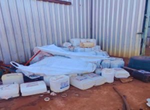 20251112_172216_original_1974_CAPA