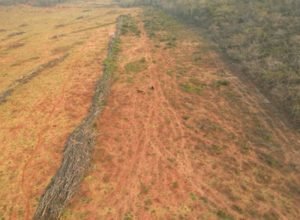 20260127_135126_original_WhatsApp_Image_2026-01-26_at_11.34.43