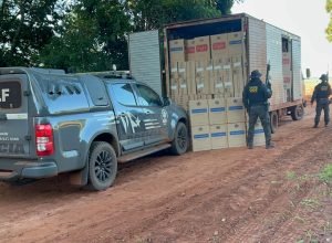 21a8b429-60e8-4515-aa6d-a13d3a77c52a