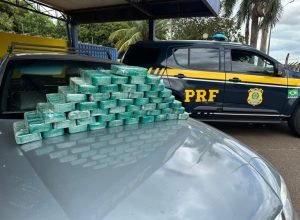 266c102c-c7e6-483c-817f-4a07711ff0b6