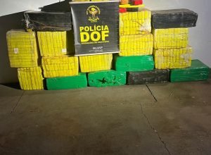 28462694-935a-4496-9ccd-41908140c0d7