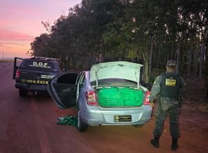 2904a9ec-4972-4144-835c-f02e0b68a6ec