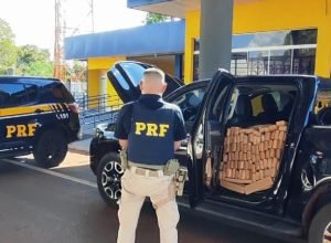 29b5d5d8-d71f-47e6-9159-818bc4a5e6c5