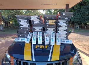 29bb4b7a-036d-4101-8e0d-0c522ea4cfeb