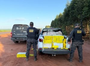 2a47e6fb-de67-420c-9d6a-1cbdd526bafb