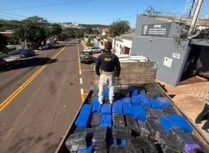 2a82d9b0-cd06-4173-bee4-adf3680ea786