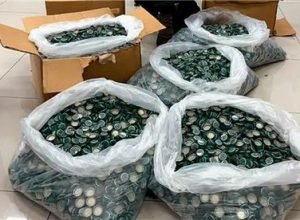 2f8a6101-8642-41b8-af30-e04d559419c7