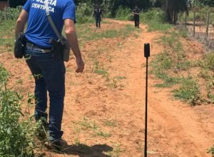 320cd218_5443_4ad9_a83b_456e7adfb9e2_1740428034,9484