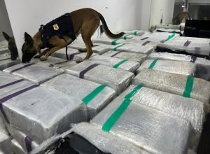 356d4076_5762_4265_9347_3d7dd4b4072e_1747670462,4107