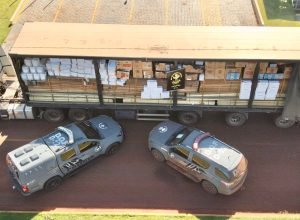 3618d165-078f-48ac-939b-b5699e93575c