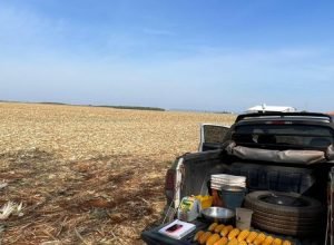 3978f122-5ff3-4519-af67-03960debdfc2_0