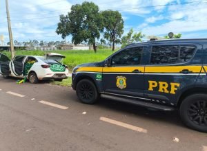 3c531b22-a786-49cc-9804-269699360c89