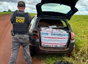 3ce76e86-c2ec-474d-86e8-2349f421182e