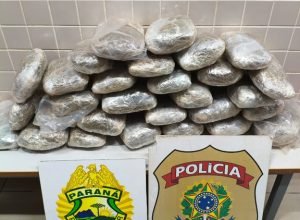 3ee6f3ba-9a21-40fe-918c-1d77f5895857