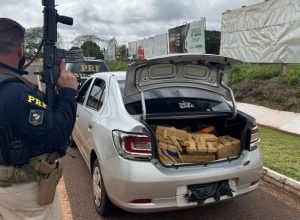 41a5a7df-c028-497c-9f8e-616db56aaee0