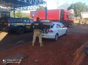 446a4b5b-c687-420a-a912-7828c4ca3a65