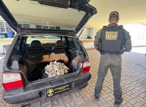 4aec4a01-fff8-4e0f-8526-038c0c8dd9ff