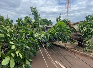 4bdd99fc-f1f3-49d4-8b45-11e1bbe3fee2-800x597