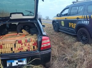 4d8c6aa2-19fd-40c6-a536-8af9d519502b