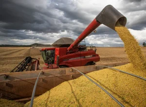 50927544691_a86ea26678_k