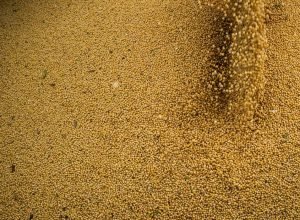 51895318587_e532858057_4k