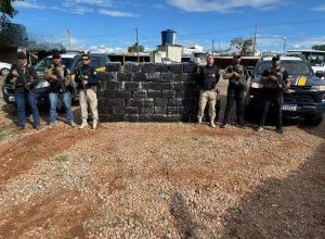 51cdc1f6-6a5b-49da-9be4-f42051ab85c0