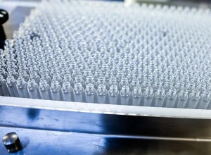 53679343147_7be22362a0_o