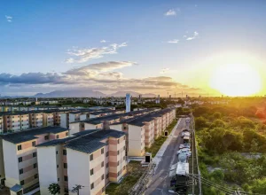 53804115242_797a050f80_o