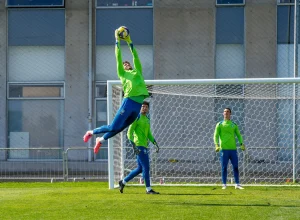 54830665094_55ebb88c5b_o