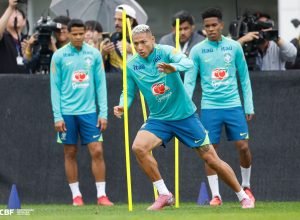 54838559729_a64431bbe2_o