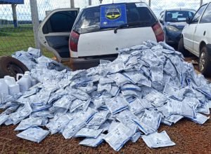 54a54867_eab7_40f7_b288_1762b9f65a57_1773403965,0337