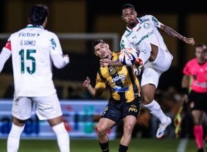 55053830158_ab8f1c5f09_o_2_