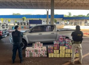 55161d55-9d72-40d0-a6a5-16d1aabdfff2