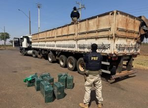 55c70af0-8cd4-49ac-86c9-49d5910ac7d7