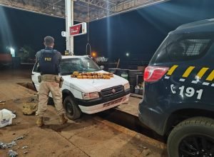 6e69b219-ff0b-4d7c-bc45-f7ecb942e2f8